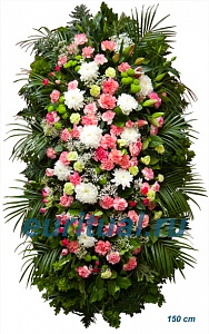 Венок живой ВЖ-31 Траурный венок для похорон из живых цветов Гвоздика, хризантема
 