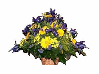Корзина из живых цветов ВЖ-5 Траурный венок для похорон из живых цветов Ирис, хризантема
