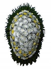 Венок живой ВЖ-24 Траурный венок для похорон из живых цветов Хризантема
