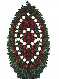 Венок живой ВЖ-30 Траурный венок для похорон из живых цветов Гвоздика
 