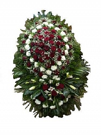 Венок живой ВЖ-2 Траурный венок для похорон из живых цветов Гвоздика, роза
 