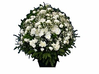 Корзина из живых цветов ВЖ-25 Траурный венок для похорон из живых цветов Хризантема
